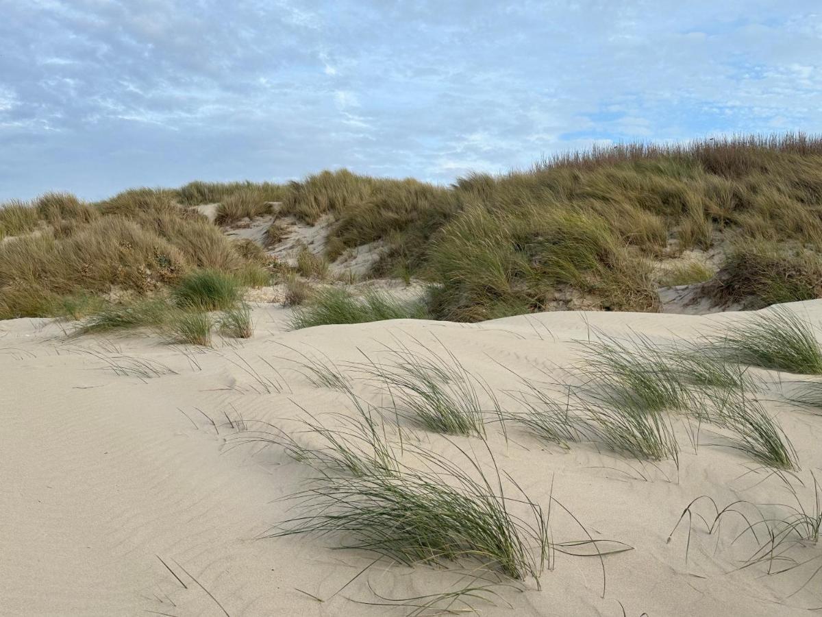Appartement Plage Merlimont 10 Mn Berck Le Touquet Avec Jardin Zewnętrze zdjęcie